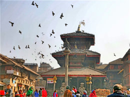 ɫ�������Ჴ�� ��������� Ʒ��ζ����