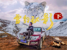 ѩ����Ӱ �߽��߳�������Ͽ��׷������