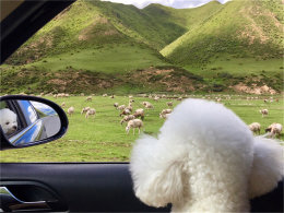 ��ڳԴ�ں� ��ɽ�ϻ� ���ӿ���ˣ