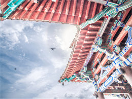 �������� ���� ��ȸ¥ ��ţ �վ���С��