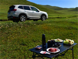 ŨŨ����������� ͬɭ���˻ع����Ȼ