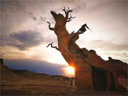 ������ʳ�Ƽ� �����½�ȫ��40���Լ���