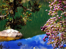 ����ɽ �����ڶ��ˣ�̤��ˮ �������ּ�