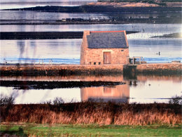 ��ŷ���������� ��������������;ʱ��