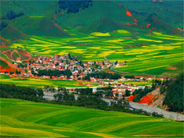 �������� ���������������ຣ ���˾���