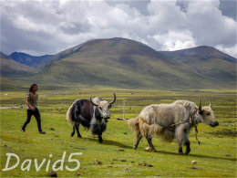 �߲����ߵ�·      ̽��Զ���������