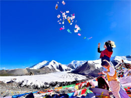 ��ɽ���ţ���زر�  ������ľ���