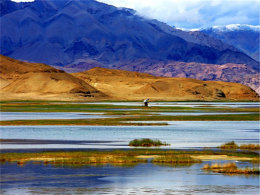 ��ެ�ŵ�--�²���--���������ɳĮ��·