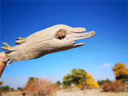 ȥĵط ɿ