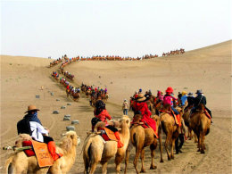 ��ʰ���ң�һ���ǳ� �������½��Լ���