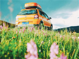 ����197�������     ���ľ�����ɶ�