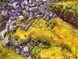 �Լݹ���ɽ�������������������������