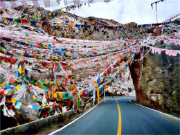 ǧ������ǧ����      ��ެ�ŵ�������