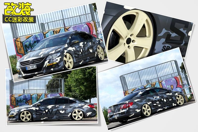 CC-bDp(<em>52</em>/99)