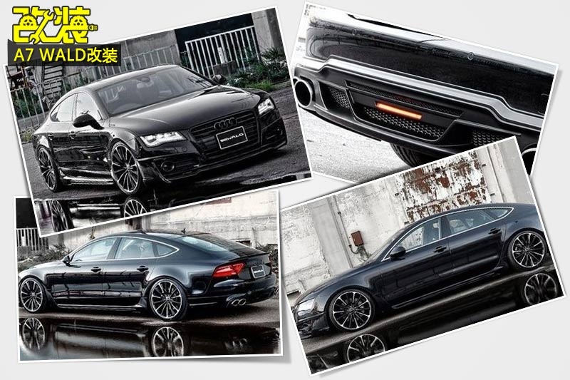 WA7-bDp(<em>61</em>/91)