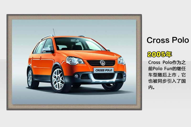 Polo-v܇(<em>95</em>/144)