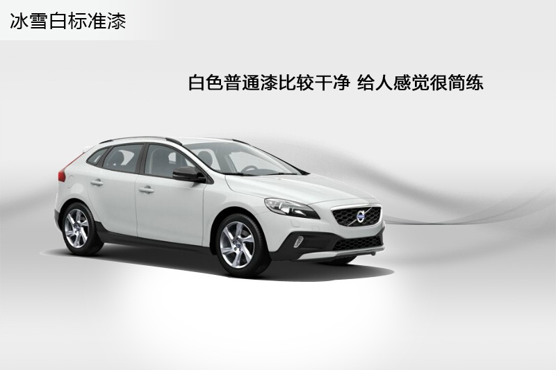 V40 Cross Country 2014-܇ɫ(<em>4</em>/73)