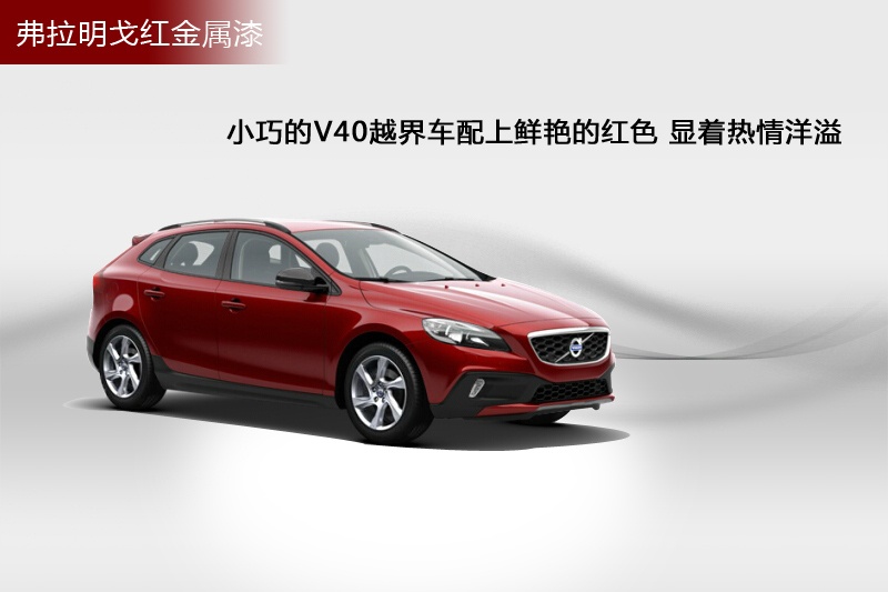 V40 Cross Country 2014-܇(ch)ɫ(<em>11</em>/73)