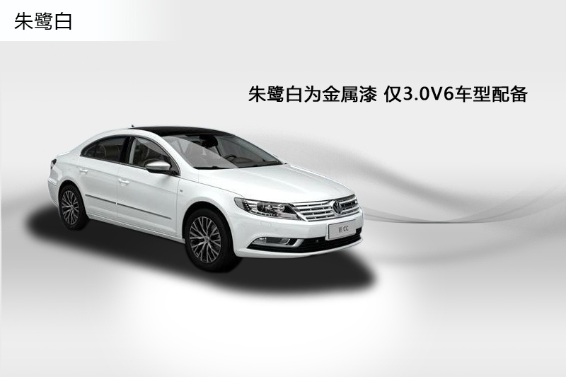 CC 2013-܇(ch)ɫ(<em>8</em>/99)