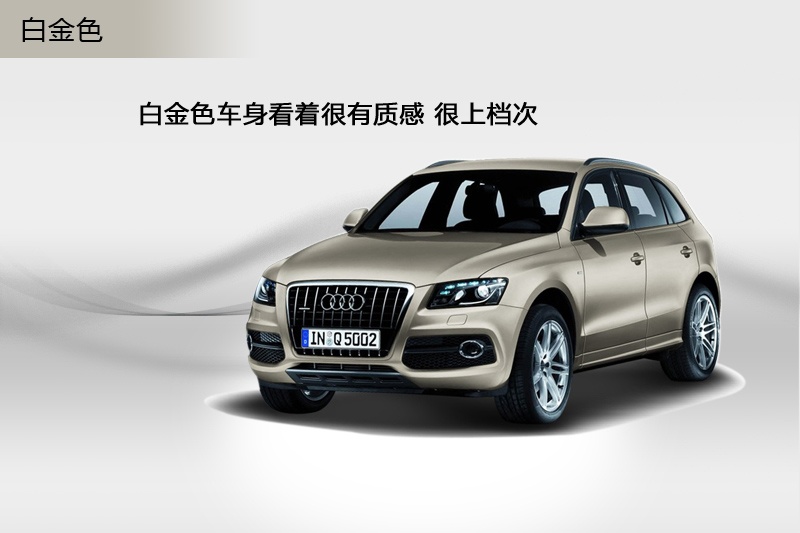 WQ5 2013-܇ɫ(<em>3</em>/100)