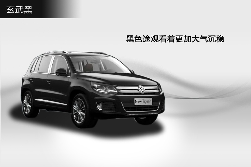 ;�^ 2013��-܇���ɫ(<em>9</em>/100)