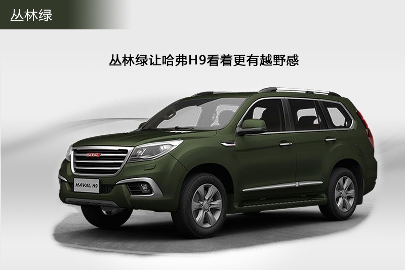 H9 2015-܇ɫ(<em>5</em>/49)