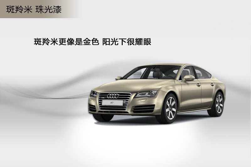 WA7 2014-܇ɫ(<em>13</em>/91)