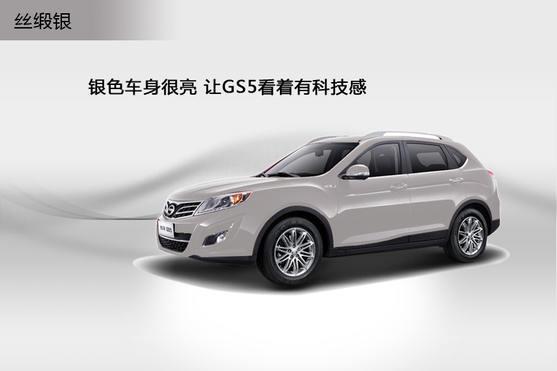 GS5 2014-܇ɫ(<em>8</em>/44)