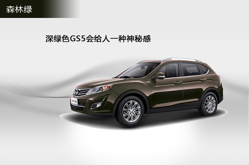 GS5 2014-܇ɫ(<em>7</em>/44)