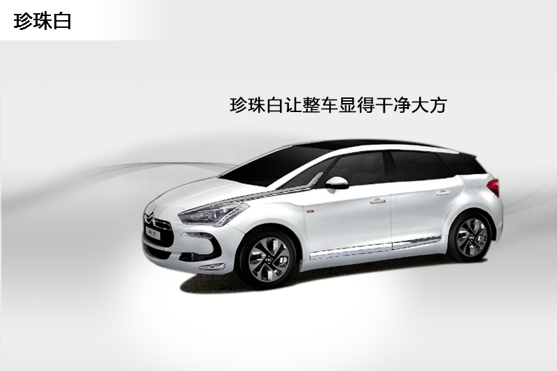 DS 5 2014��-܇���ɫ(<em>3</em>/78)