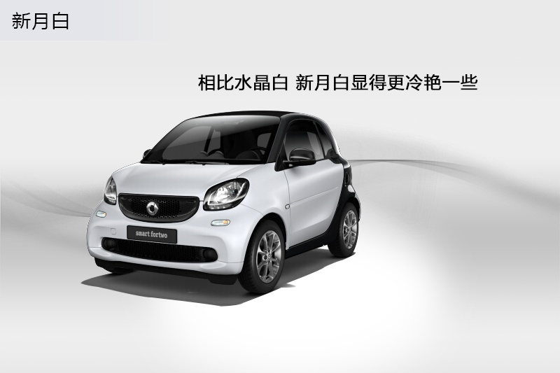 smart fortwo 2015-܇ɫ(<em>8</em>/64)