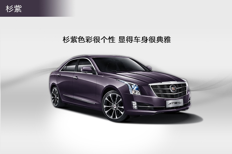 PATS-L 2014-܇ɫ(<em>3</em>/75)