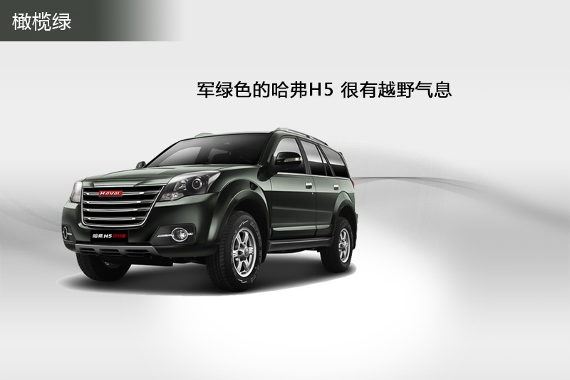 H5 2015-܇ɫ(<em>3</em>/65)