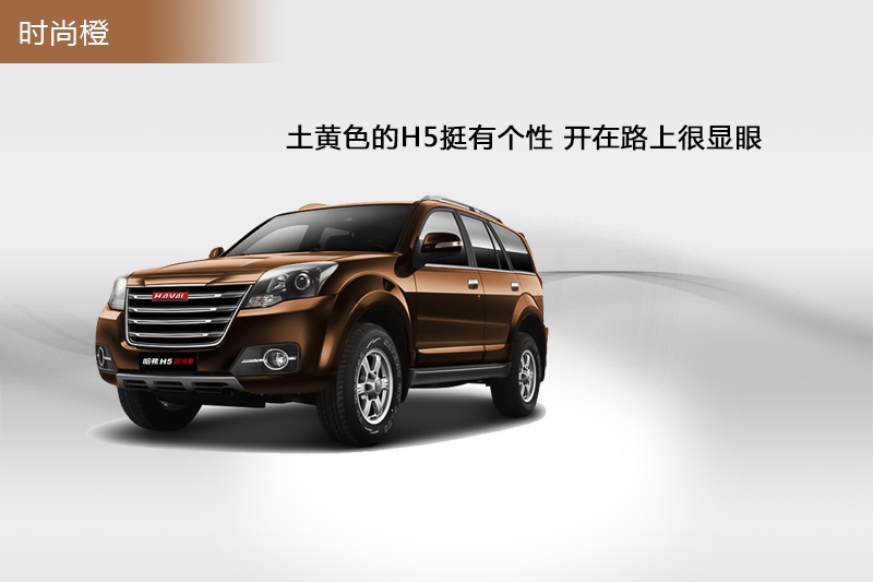 H5 2015-܇ɫ(<em>6</em>/65)