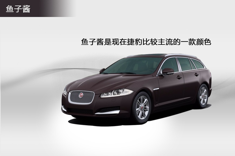 ݱXF Sportbrake 2015-܇ɫ(<em>10</em>/87)