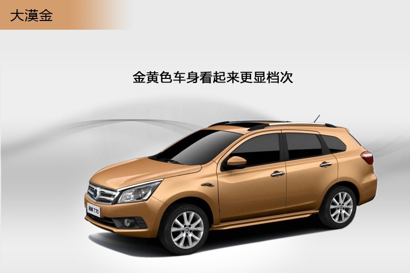 T70 2015-܇ɫ(<em>6</em>/26)