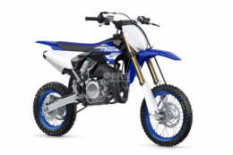 δԽҰֵҡ 2018YZ65