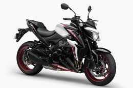  ľƳȫɫGSX-S1000/F