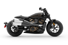 Z����ר�� ���״�άɭSportster S����