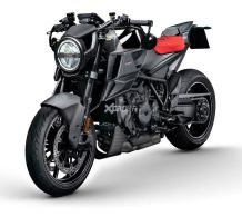 �Ͳ�˹ 1300 R���� ����־�ľ���ϸ��