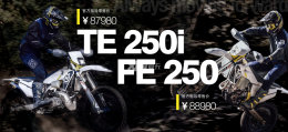 ��˼����TE 250i FE 250���� 87980Ԫ��