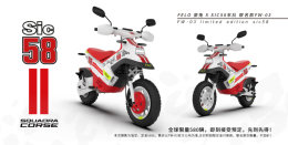 ���FW-03 Sic58���������� ��15900Ԫ