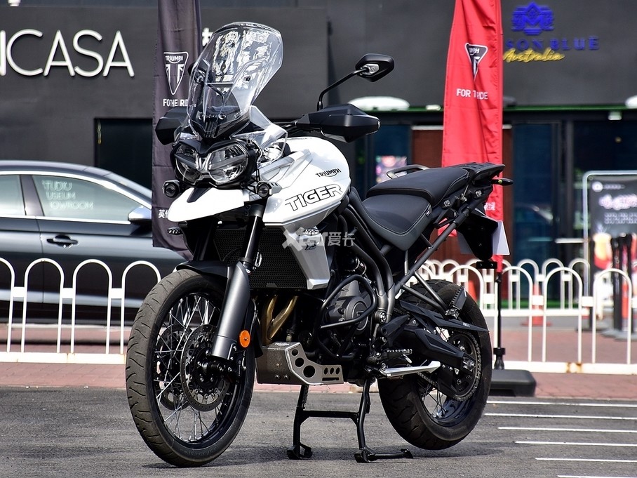 > 凯旋 tiger 800 xca