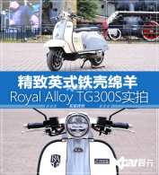����Ӣʽ���� Royal Alloy TG300Sʵ��