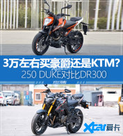 ��ͷ��β��ľ��� 250 DUKE�Ա�DR300