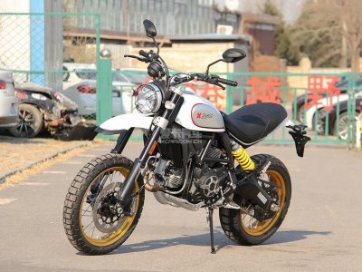 �ſ��ϣ����ڣ� Scrambler Desert Sled