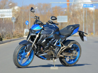 ���� ZT310-R