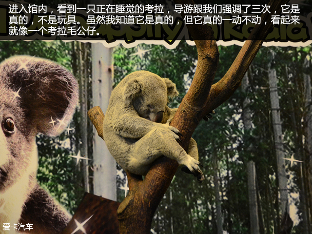 陪伴最长情 全新马自达CX-5家庭总动员