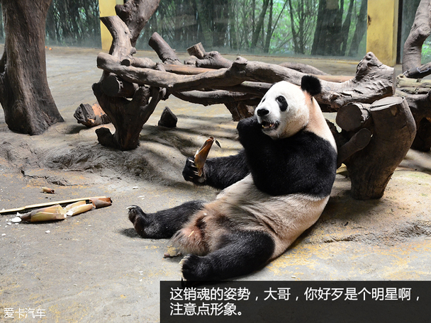 陪伴最长情 全新马自达CX-5家庭总动员