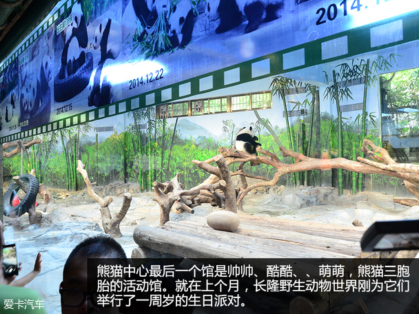 陪伴最长情 全新马自达CX-5家庭总动员